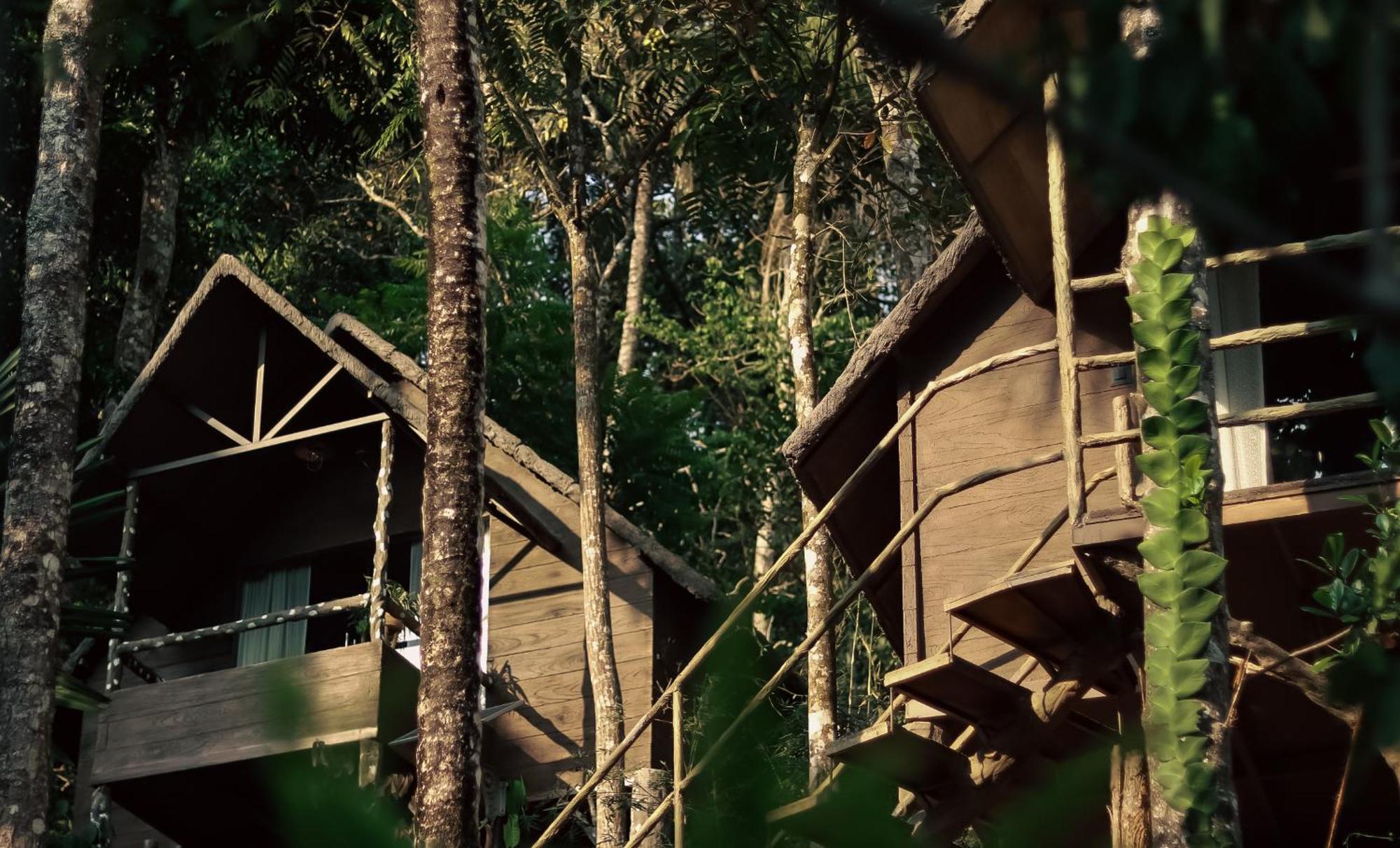 Panchavadi Farm Stay Thekkady Extérieur photo